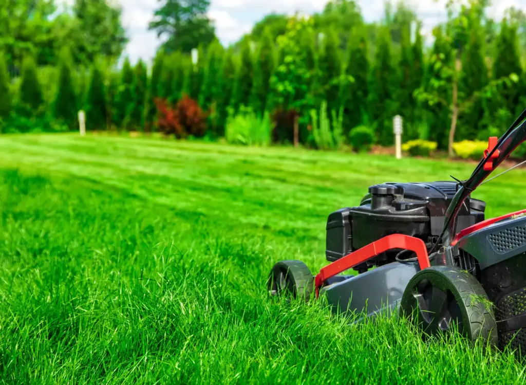Professional mowing grass outdoors